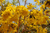 Enlarge photo 49
