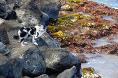 Enlarge photo 50