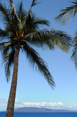 Enlarge photo 53