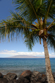 Enlarge photo 51