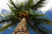 Enlarge photo 52