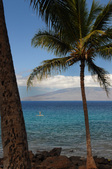 Enlarge photo 54