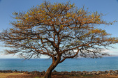 Enlarge photo 57