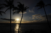 Enlarge photo 56