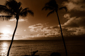 Enlarge photo 59