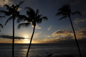 Enlarge photo 58