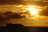 Enlarge photo 60
