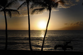 Enlarge photo 61