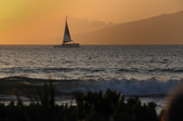 Enlarge photo 73
