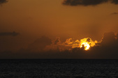 Enlarge photo 76