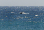 Enlarge photo 90