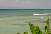 Enlarge photo 89