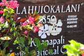 Enlarge photo 115