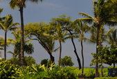 Enlarge photo 121