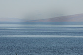 Enlarge photo 127