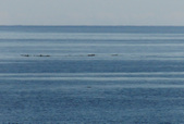 Enlarge photo 126