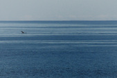 Enlarge photo 128