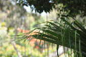 Enlarge photo 129
