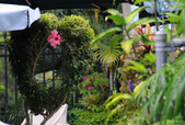 Enlarge photo 130