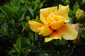 Enlarge photo 134