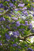 Enlarge photo 138