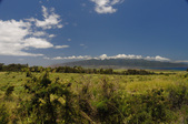 Enlarge photo 139