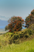 Enlarge photo 141