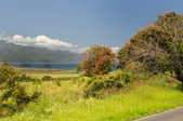 Enlarge photo 142
