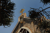 Enlarge photo 152