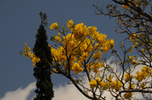Enlarge photo 154