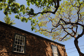 Enlarge photo 156