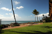 Enlarge photo 185