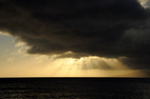 Enlarge photo 196