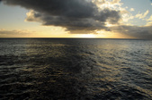 Enlarge photo 202
