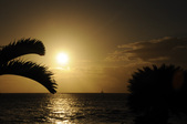 Enlarge photo 210