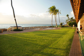 Enlarge photo 213
