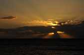 Enlarge photo 215