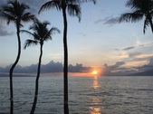 Enlarge photo 34
