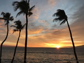 Enlarge photo 40