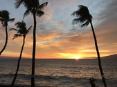 Enlarge photo 41
