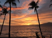 Enlarge photo 45
