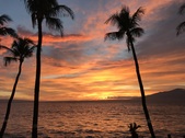 Enlarge photo 46