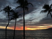 Enlarge photo 48