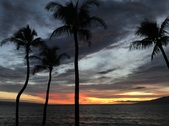Enlarge photo 49