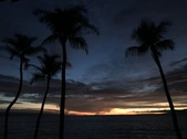 Enlarge photo 50