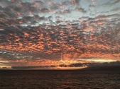 Enlarge photo 54