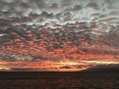 Enlarge photo 55