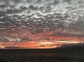 Enlarge photo 57