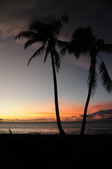 Enlarge photo 33