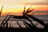 Enlarge photo 36